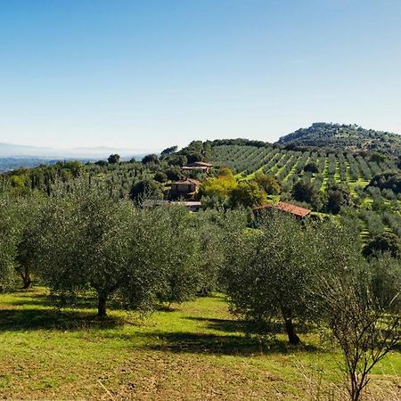 Tavernelle  The Country House Montali מראה חיצוני תמונה